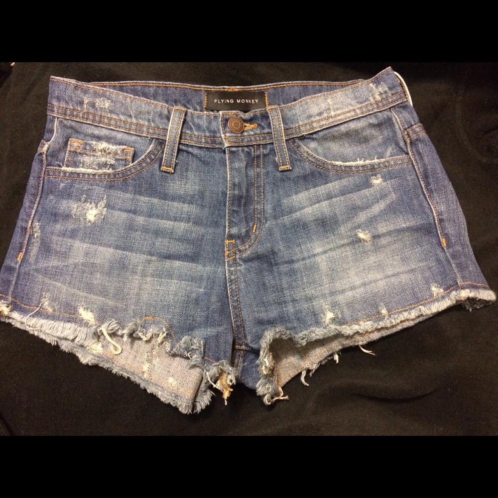 Flying Monkey Size 24 Distressed Shorts
